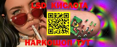 шишки Будённовск