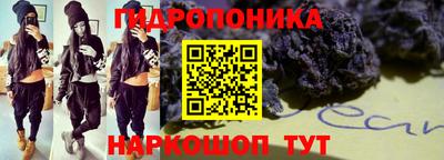 шишки Будённовск