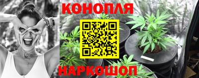 шишки Будённовск