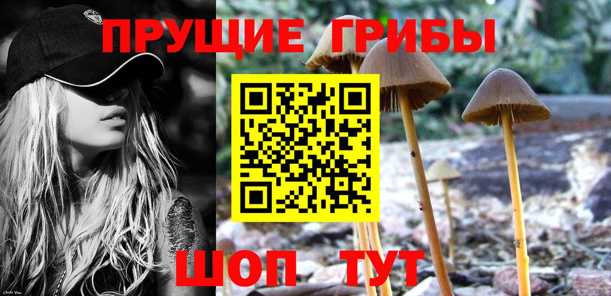 Псилоцибиновые грибы мухоморы  Галлюциногенные грибы мухоморы  Тара  Вход с VPN 